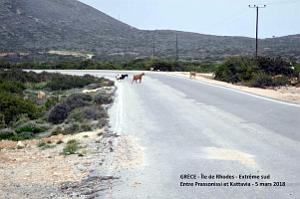 064- Tour de l'ile de Rhodes